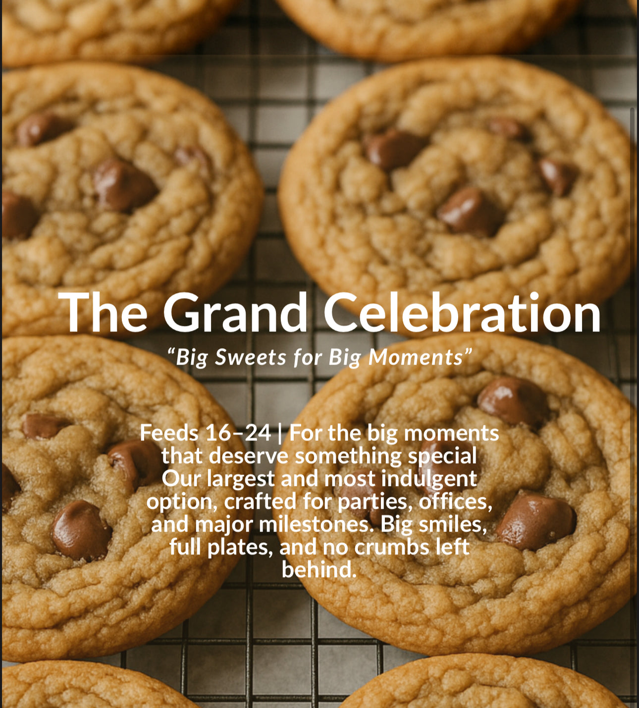 The Grand Celebration(Feeds 16–25)